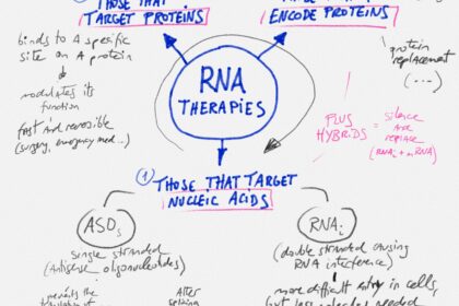 RNAs are very active players in cell biology... they carry instructions for making proteins, turn genes on and off, aid chemical reactions, slice and dice other RNAs, and build proteins. Here's a simple map to understand how can we use them as drugs #quick_notes_LP